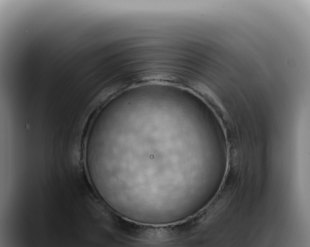X0000088410882200705291447