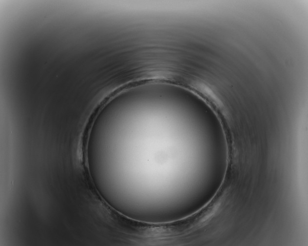 X0000088410883200705291447