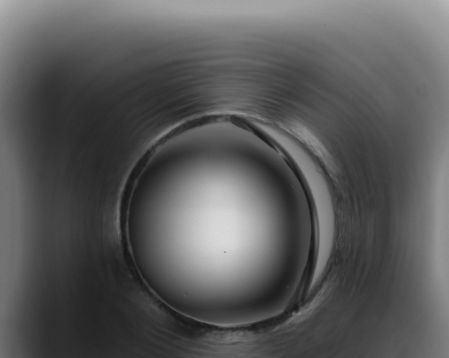 X0000088410884200705291447