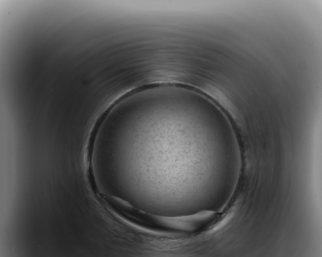 X0000088410885200705291447