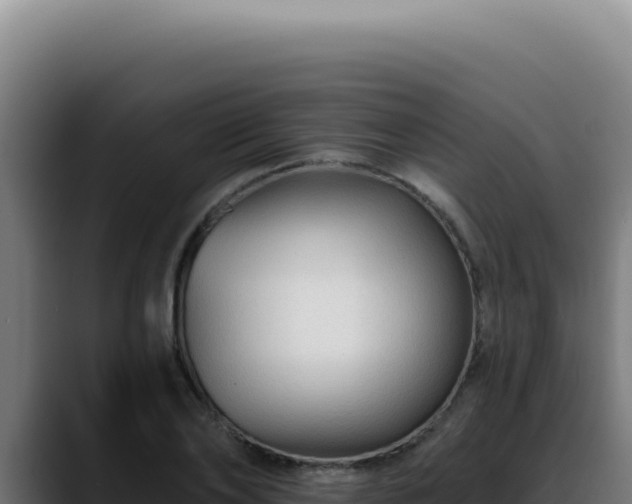 X0000088410886200705291447
