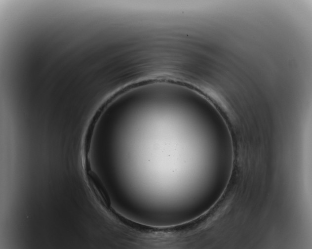 X0000088410888200705291447