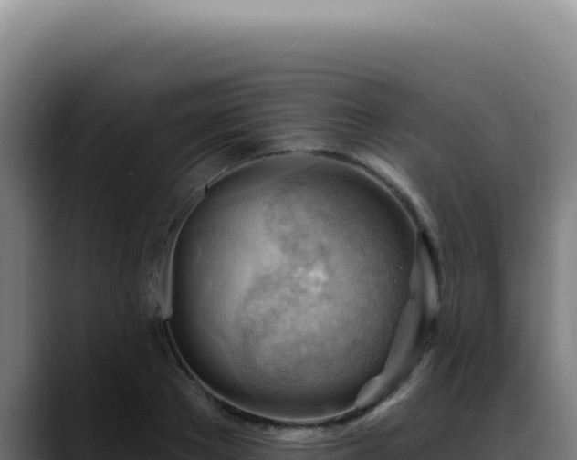 X0000088410889200705291447