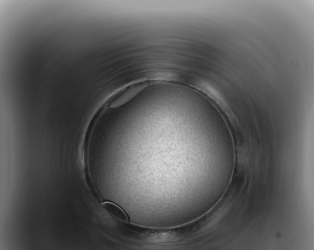 X0000088410891200705291447