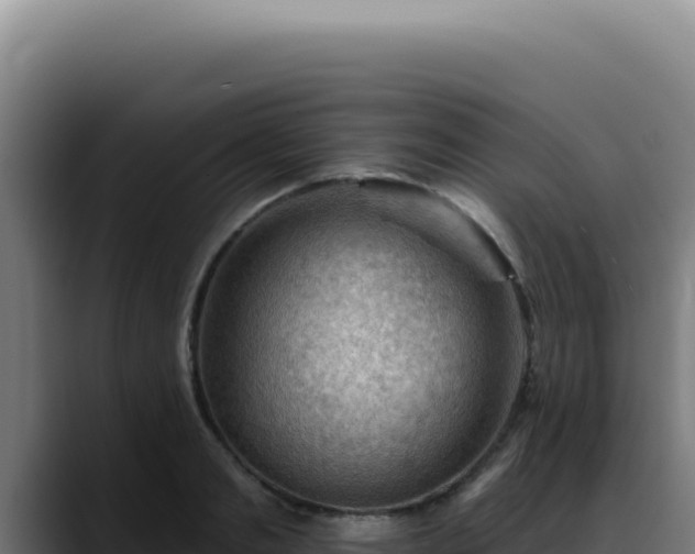 X0000088410893200705291447