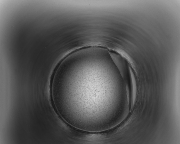 X0000088410894200705291447