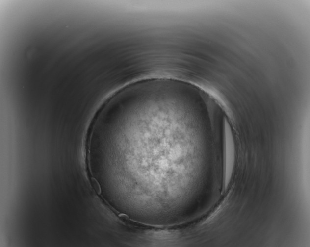 X0000088410896200705291447