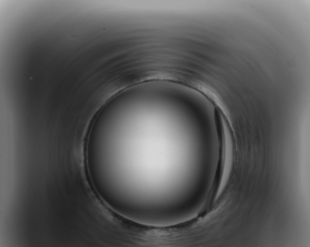 X0000088410898200705291447