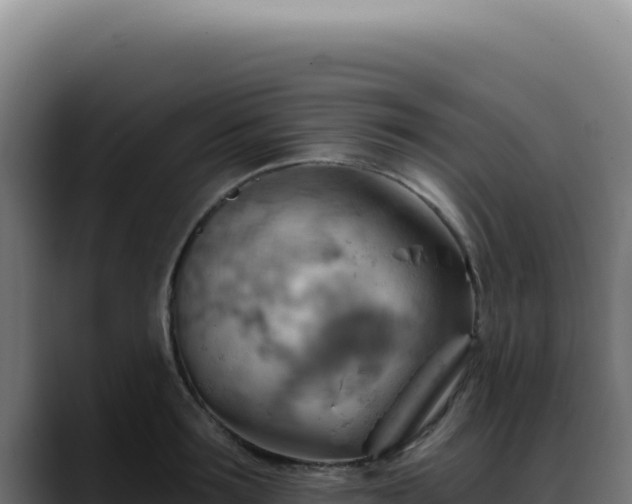 X0000088410899200705291447
