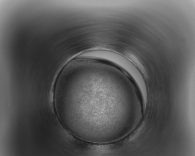 X0000088410900200705291447