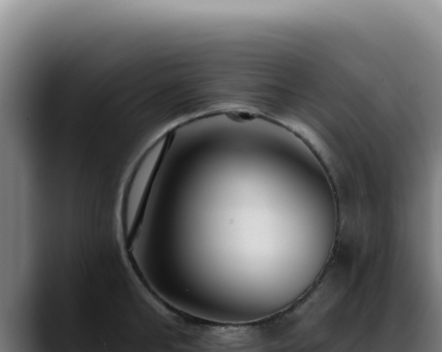 X0000088410902200705291447