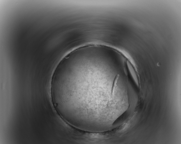 X0000088410903200705291447