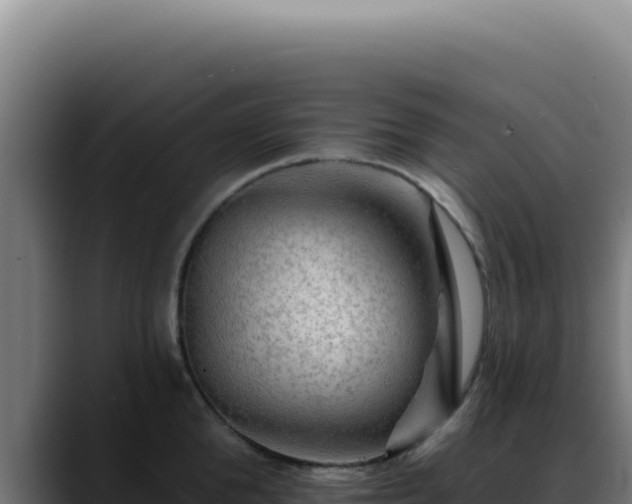 X0000088410904200705291447