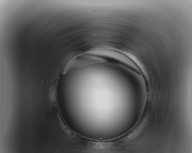 X0000088410905200705291447