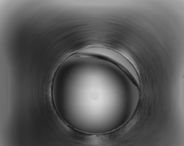 X0000088410906200705291447