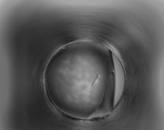 X0000088410907200705291447