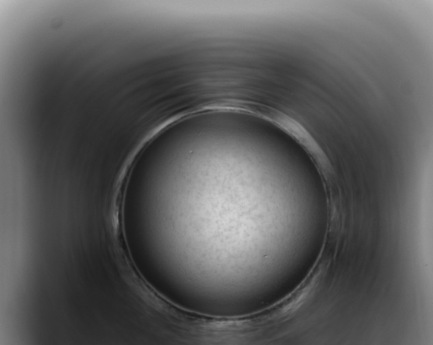 X0000088410908200705291447