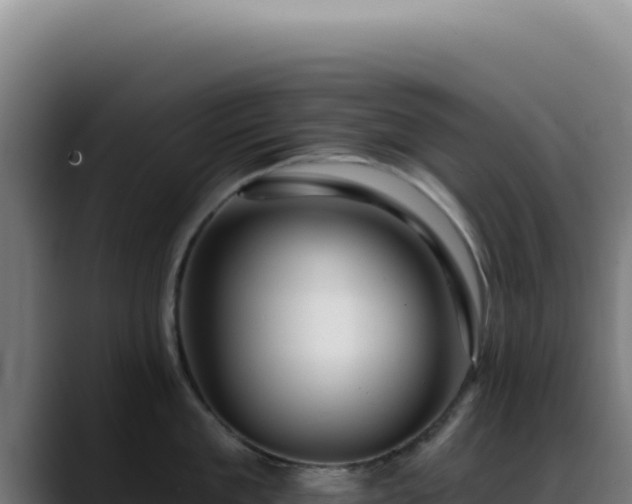 X0000088410909200705291447