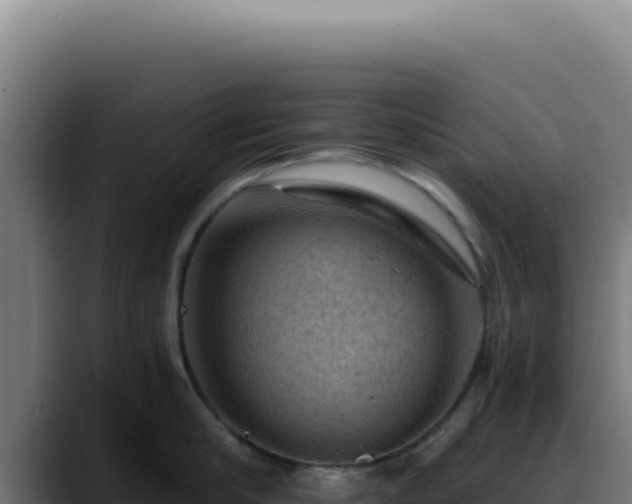 X0000088410910200705291447