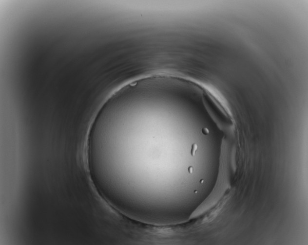 X0000088410911200705291447