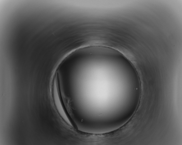 X0000088410912200705291446