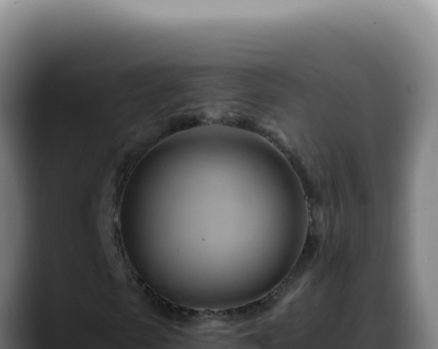 X0000088410913200705291446