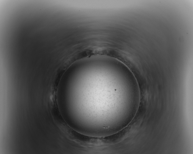 X0000088410914200705291446