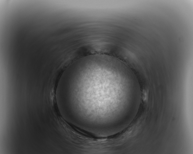 X0000088410915200705291446
