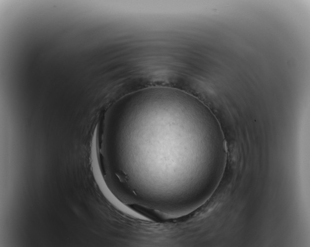 X0000088410916200705291446
