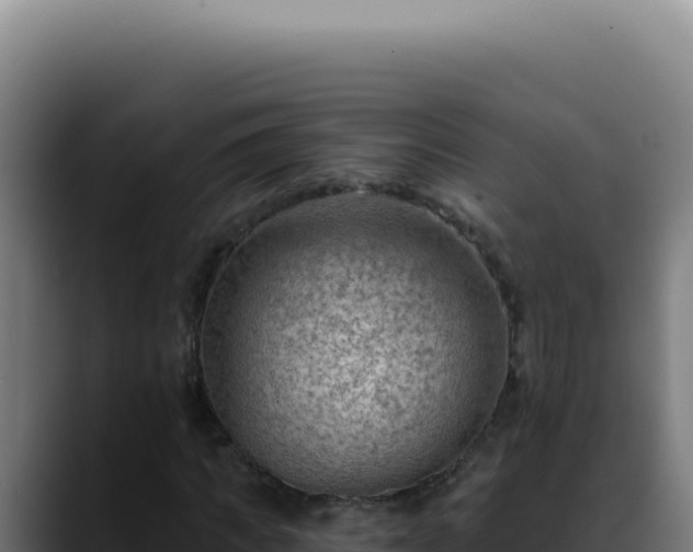 X0000088410917200705291446