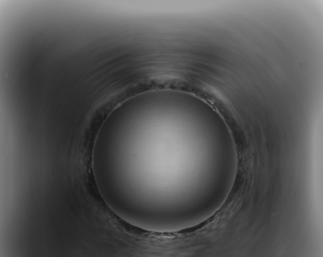 X0000088410919200705291446