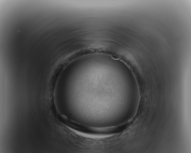 X0000088410920200705291446