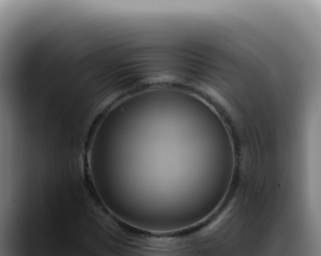 X0000088410921200705291446
