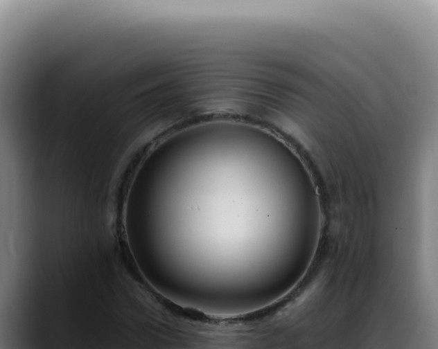 X0000088410922200705291446