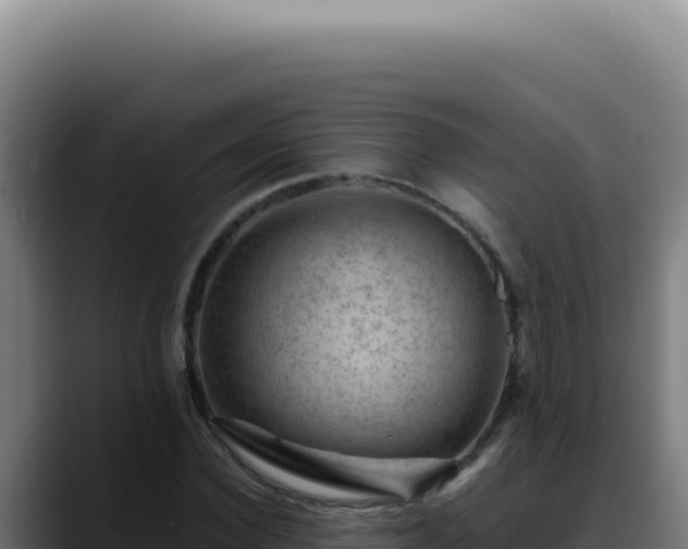 X0000088410924200705291446