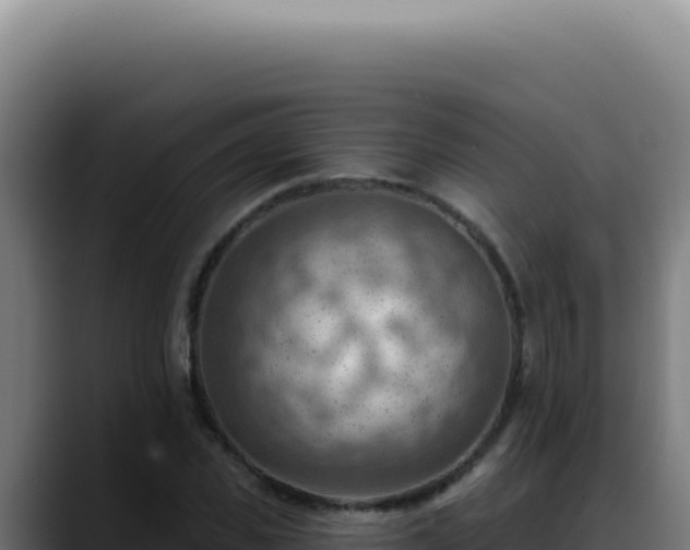 X0000088410925200705291446