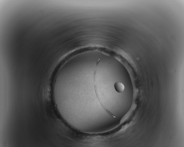 X0000088410926200705291446