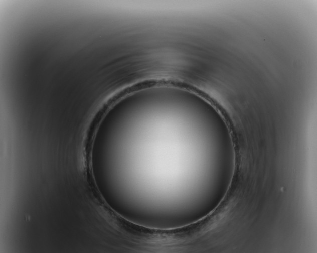X0000088410927200705291446