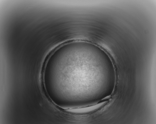 X0000088410928200705291446