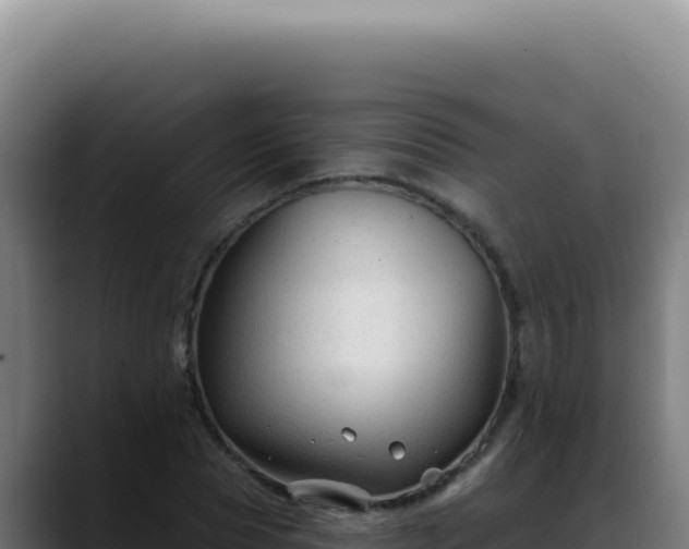 X0000088410929200705291446