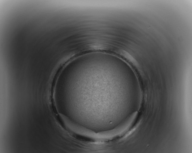 X0000088410930200705291446