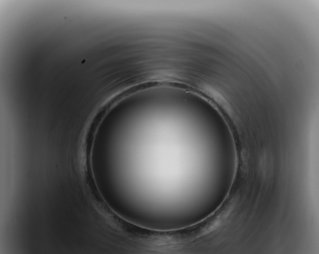 X0000088410931200705291446