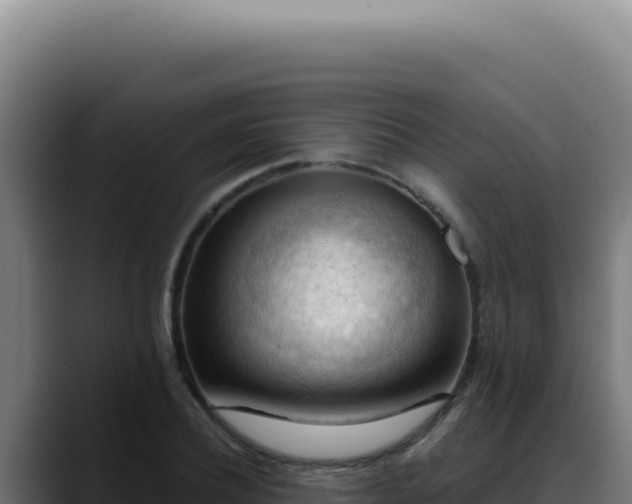 X0000088410932200705291446