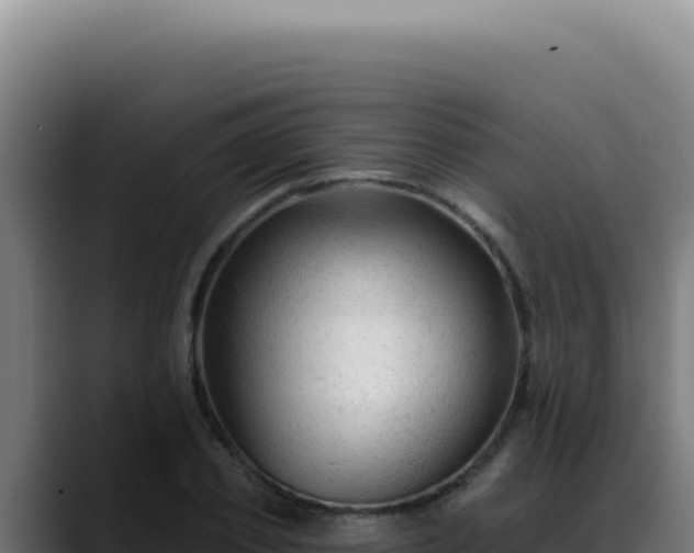 X0000088410933200705291446