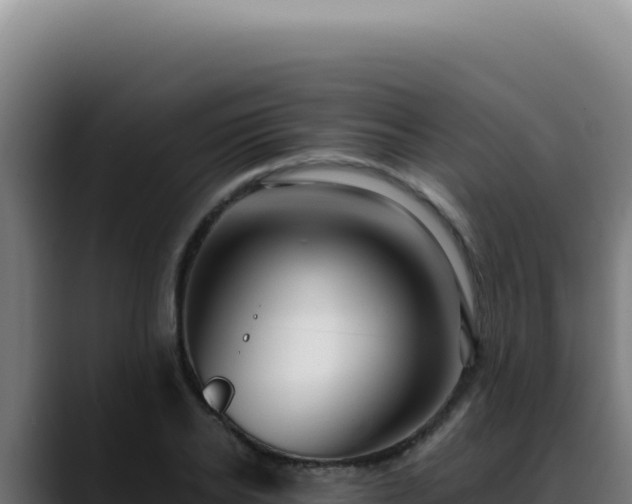 X0000088410934200705291446