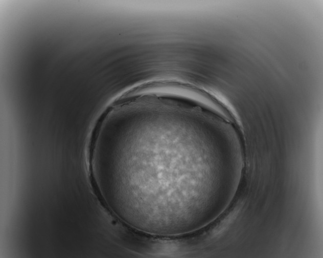 X0000088410935200705291446