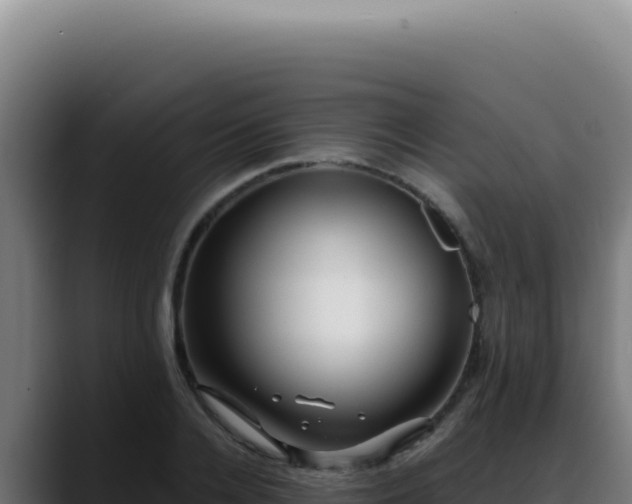 X0000088410936200705291446