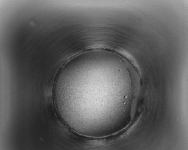X0000088410937200705291446