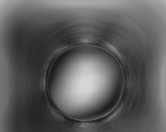 X0000088410938200705291446
