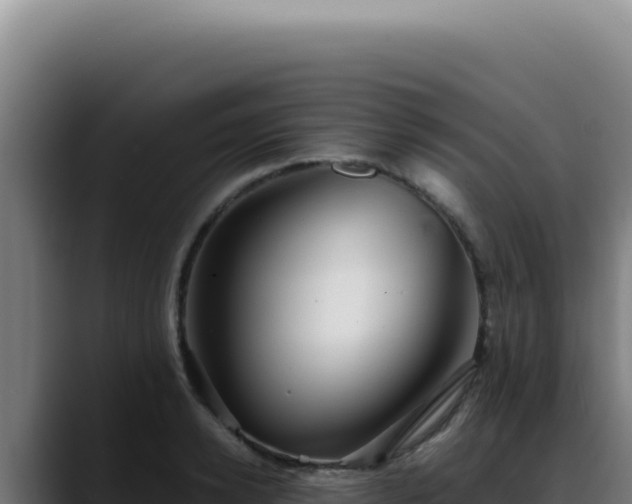 X0000088410942200705291446